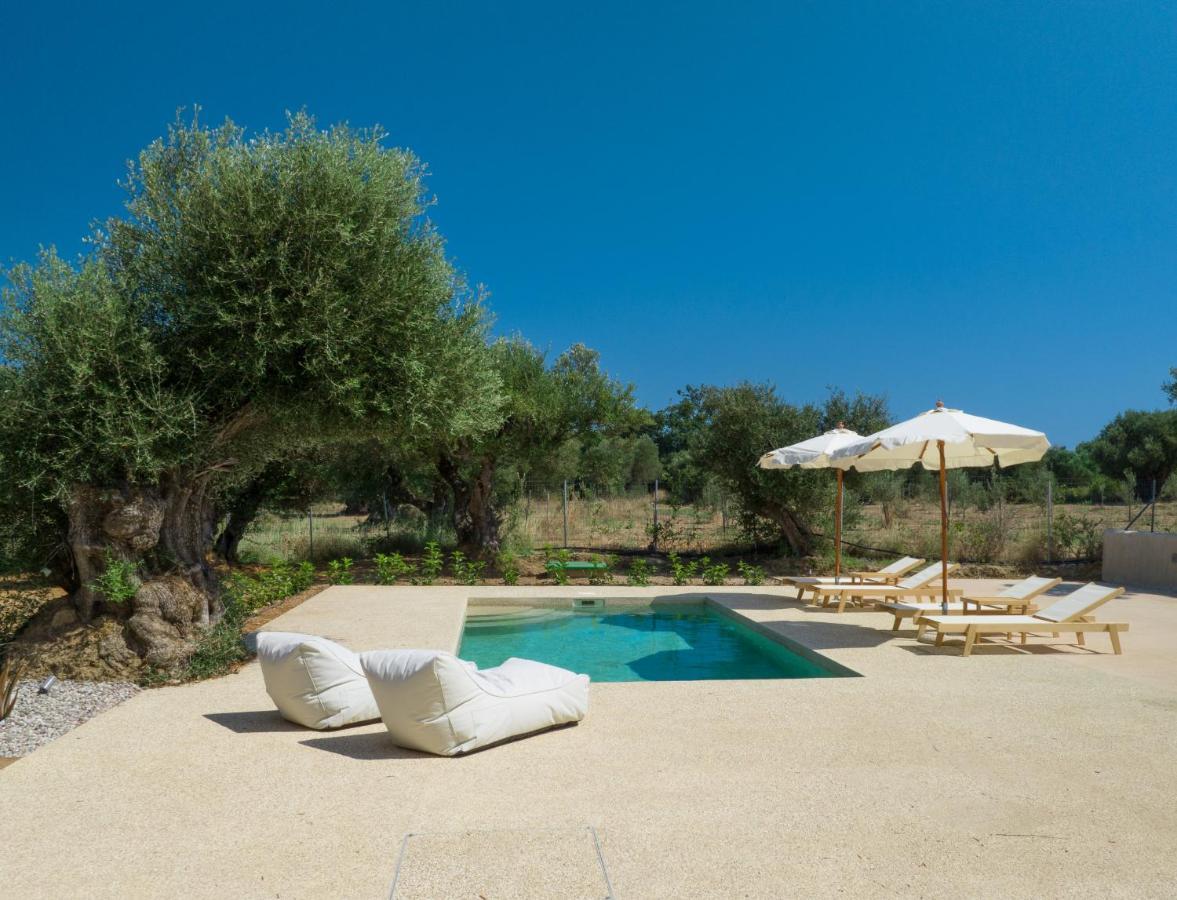 Terra Oleana Cottages Vasilikí Dış mekan fotoğraf